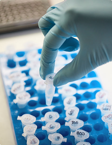 A medically gloved hand placing a microcentrifuge tube into a tube rack